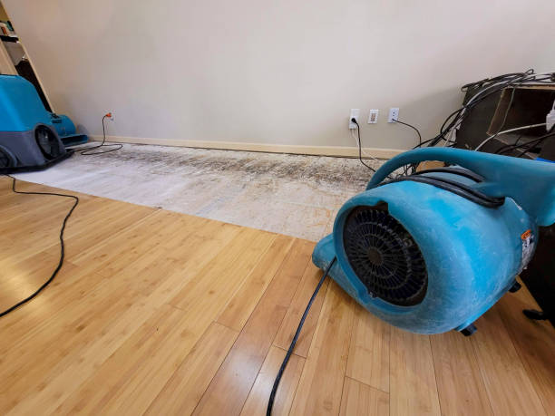 Professional Structural Drying technician working in Lubbock, TX